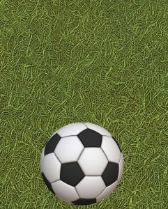 soccer field 241x300 - UEFA European Championships Funny, Epic and Dramatic Moments - The Moments which Make Football