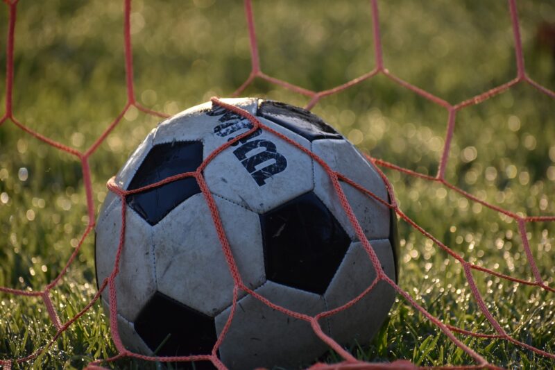 A football on grass with the net on top